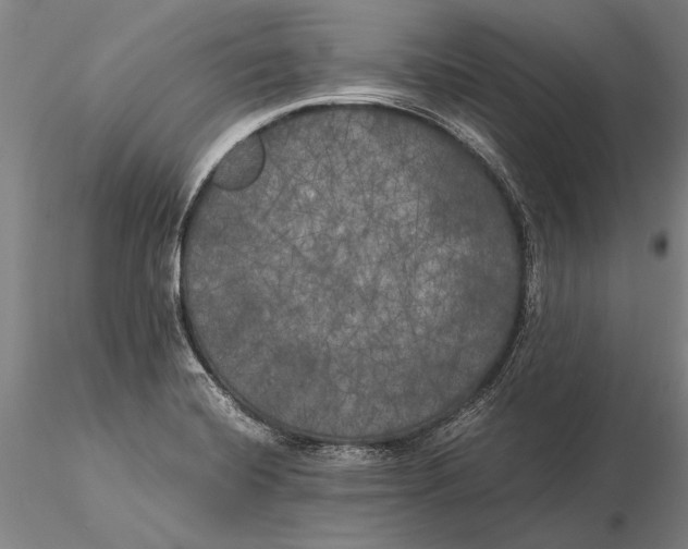 X0000116051420200912111453
