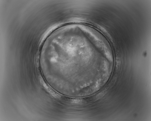 X0000116051421200912111453