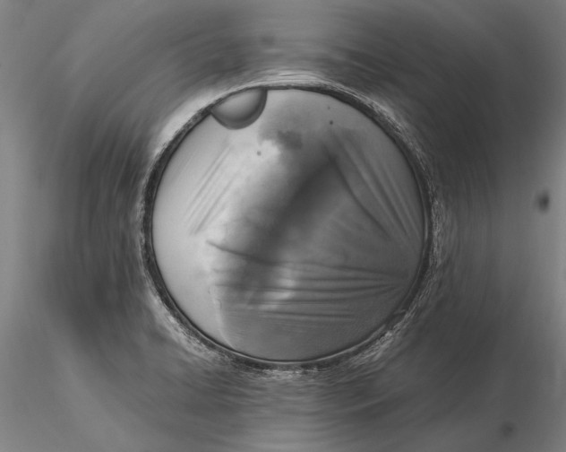 X0000116051422200912111453