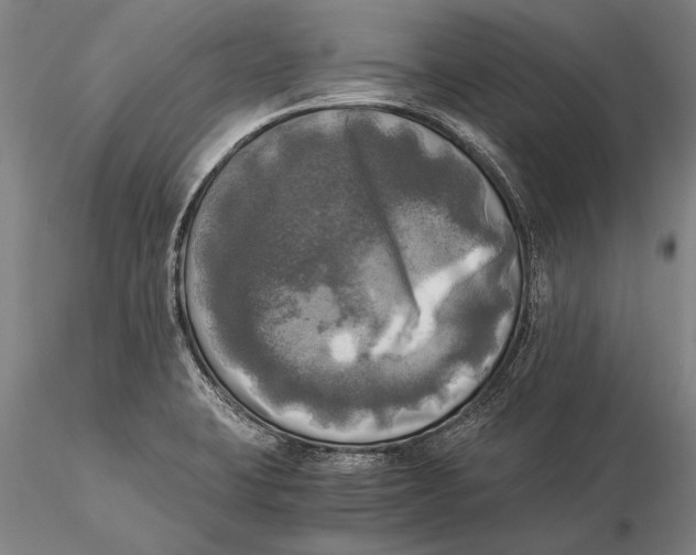 X0000116051423200912111453