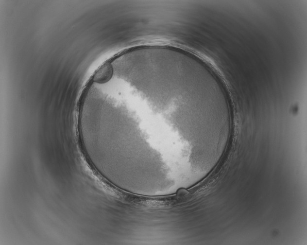 X0000116051424200912111453