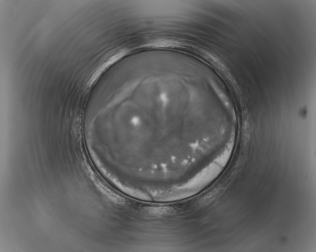 X0000116051425200912111453