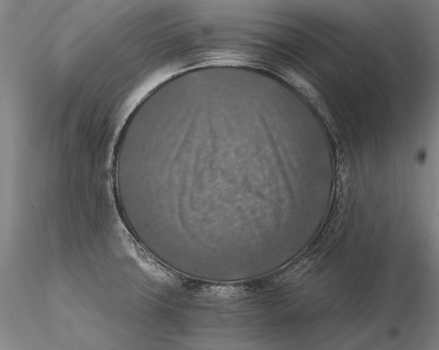 X0000116051427200912111453