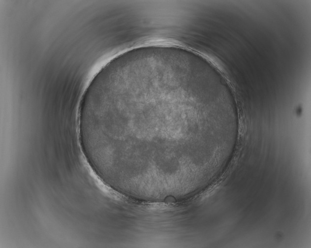 X0000116051430200912111453