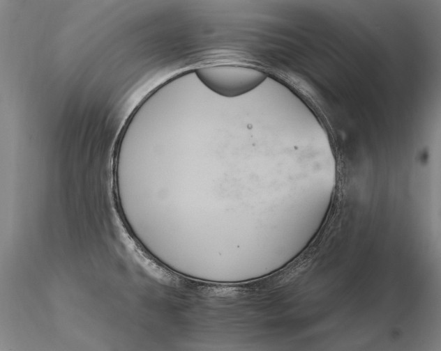 X0000116051431200912111453