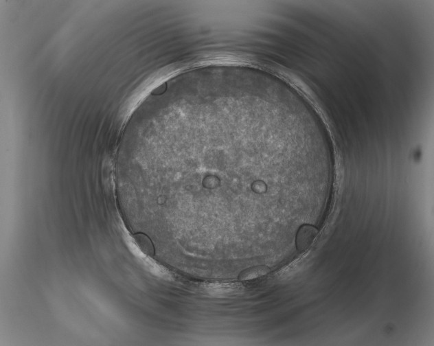 X0000116051433200912111453