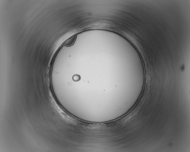 X0000116051434200912111453