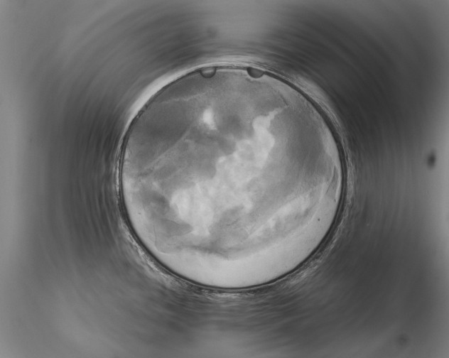 X0000116051436200912111453