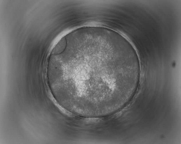 X0000116051437200912111453