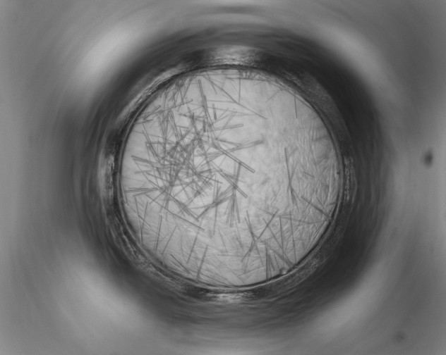 X0000116051438200912111453