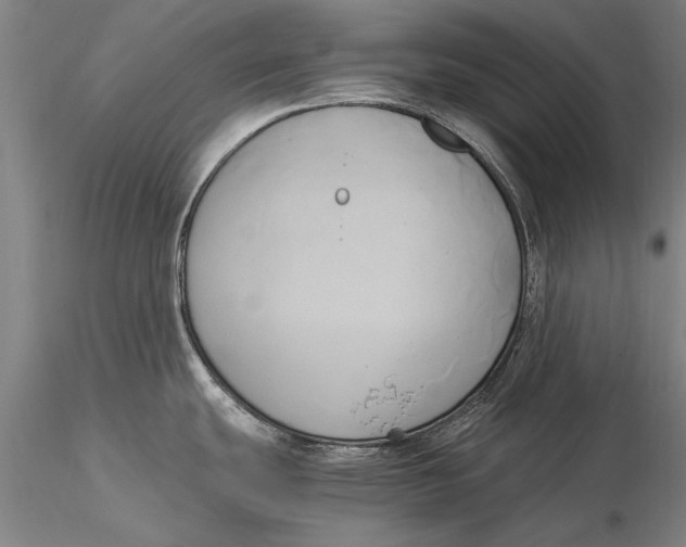 X0000116051439200912111453