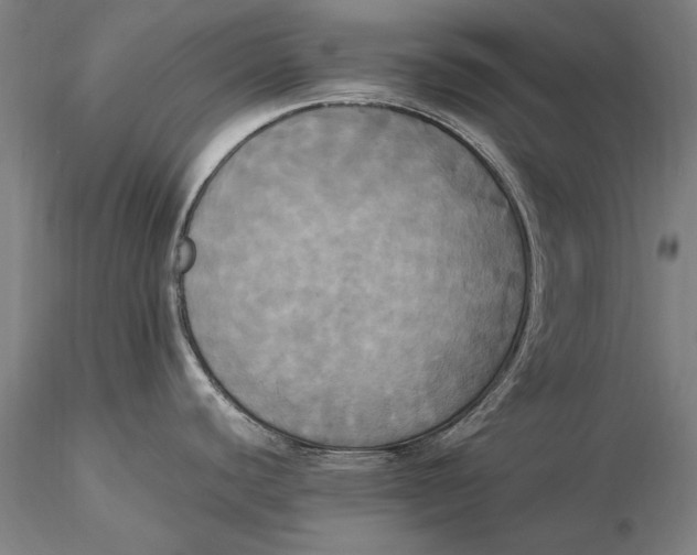 X0000116051440200912111453