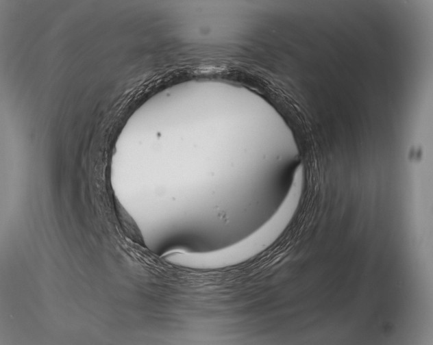 X0000116051441200912111453
