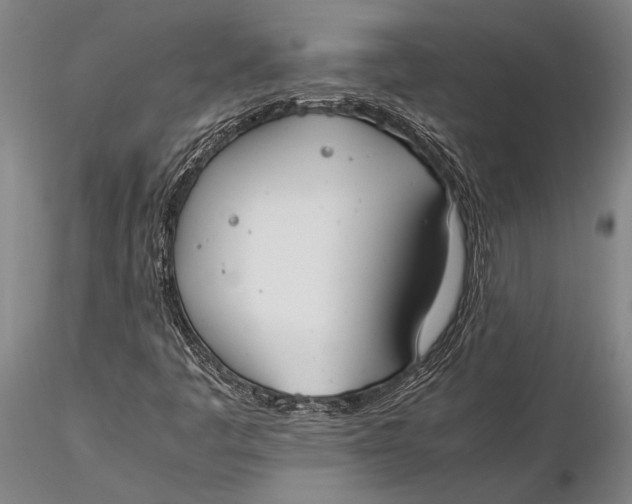 X0000116051445200912111453