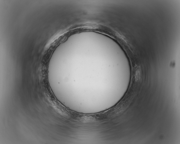 X0000116051448200912111452