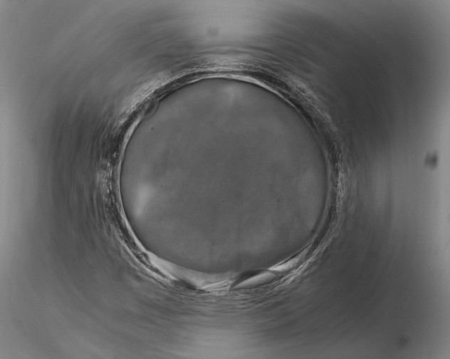 X0000116051449200912111452