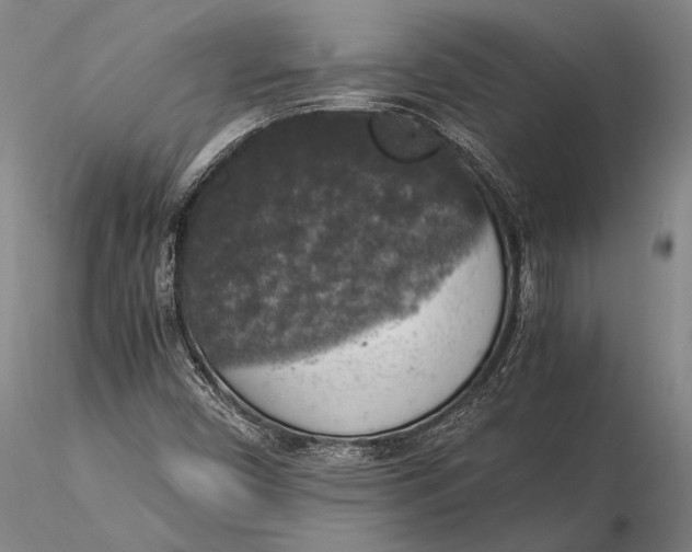 X0000116051450200912111452