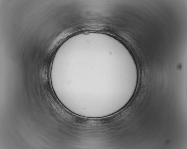 X0000116051451200912111452