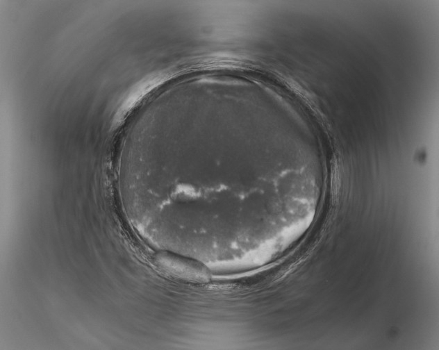 X0000116051453200912111452