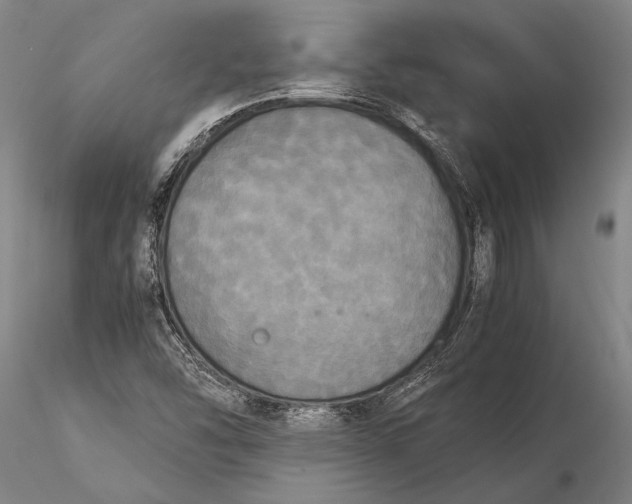 X0000116051454200912111452