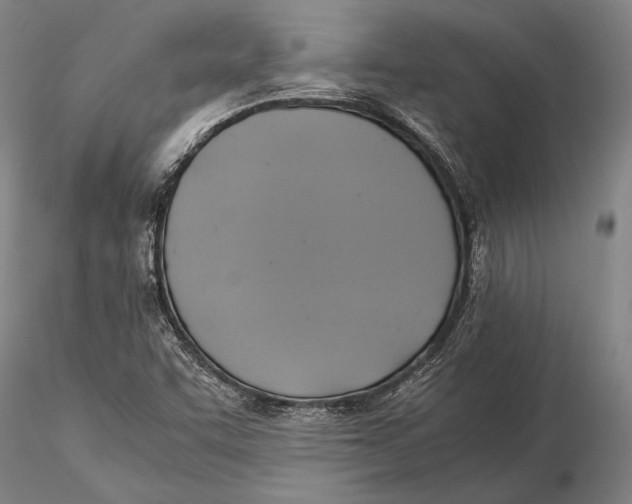 X0000116051455200912111452