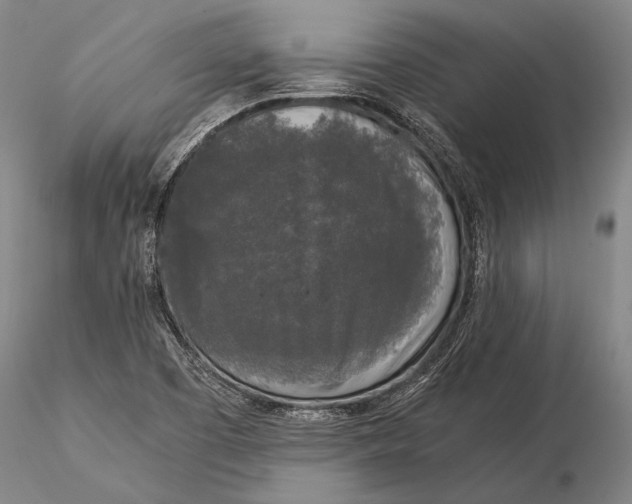 X0000116051457200912111452