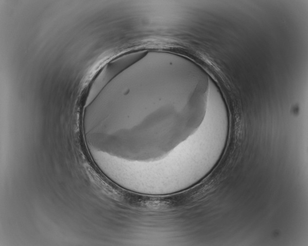 X0000116051459200912111452