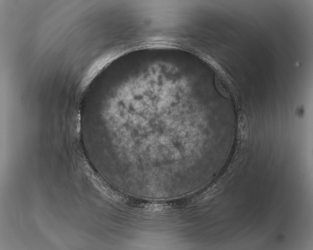 X0000116051461200912111452