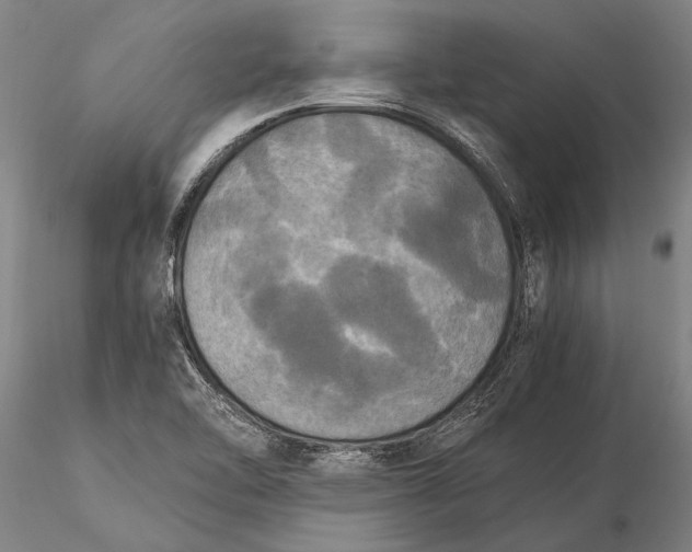 X0000116051462200912111452