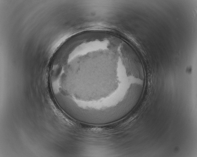 X0000116051463200912111452