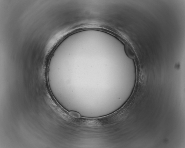 X0000116051464200912111452