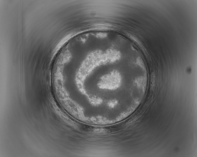 X0000116051467200912111452