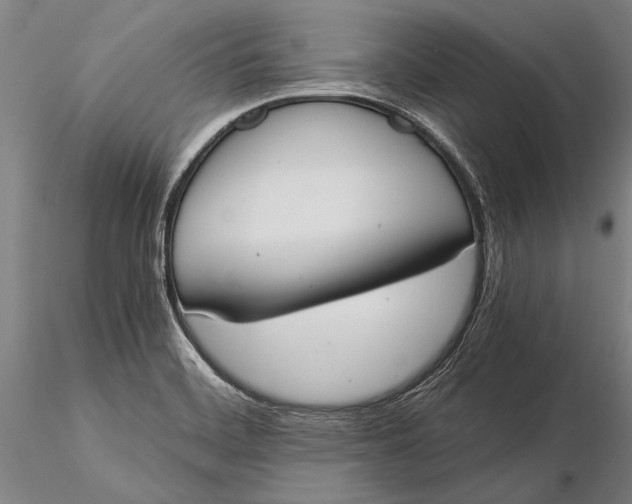 X0000116051468200912111452