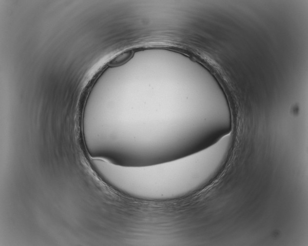 X0000116051469200912111452