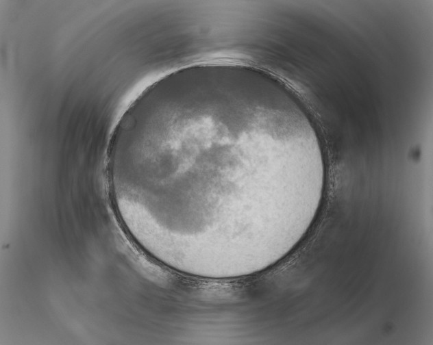 X0000116051470200912111452