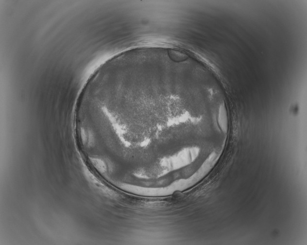 X0000116051471200912111452