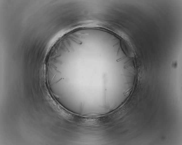 X0000116051472200912111452
