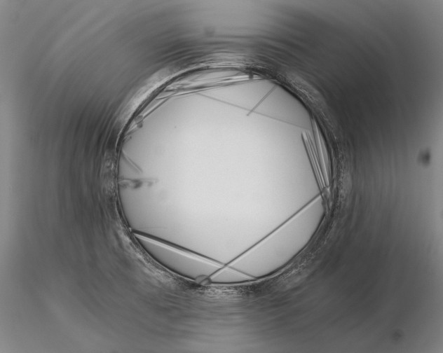 X0000116051473200912111452