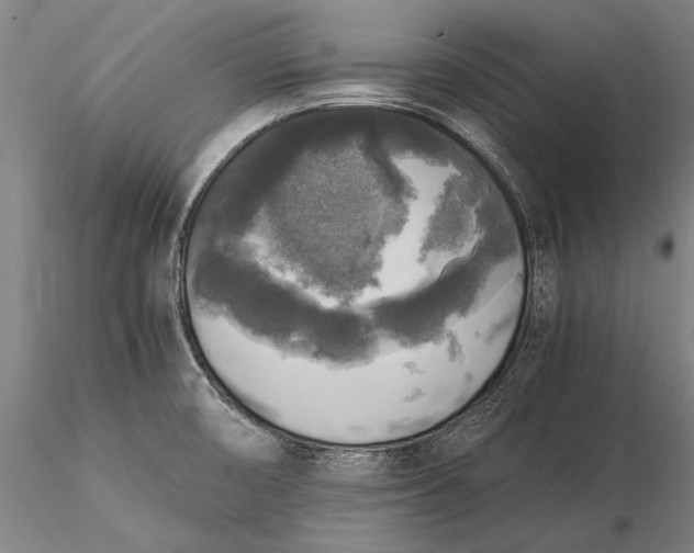 X0000116051474200912111452