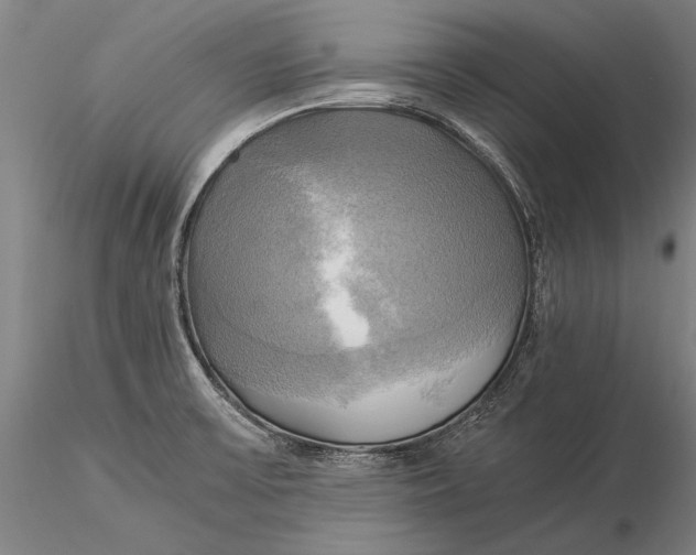 X0000116051475200912111452