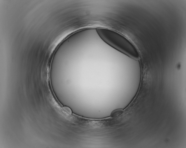 X0000116051476200912111452