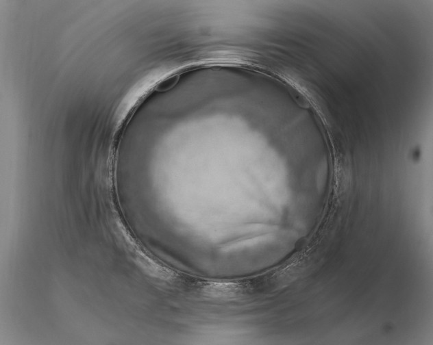 X0000116051477200912111452