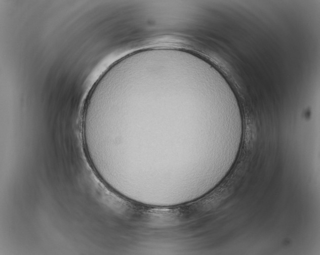 X0000116051478200912111452