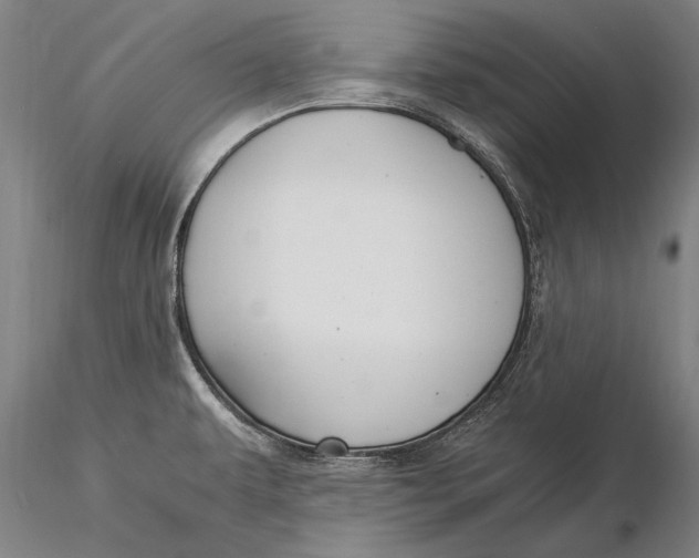 X0000116051479200912111452