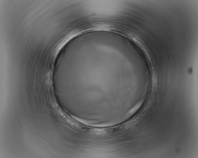 X0000116051481200912111452