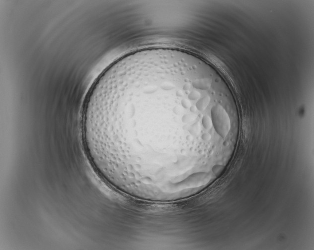 X0000116051482200912111452