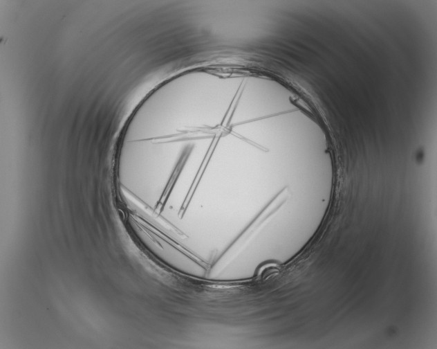 X0000116051483200912111452