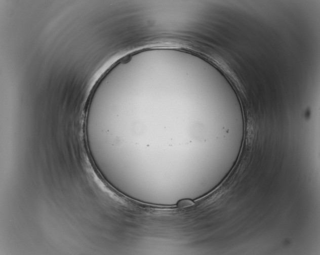 X0000116051484200912111452