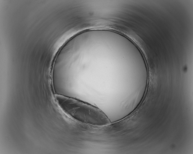 X0000116051485200912111452