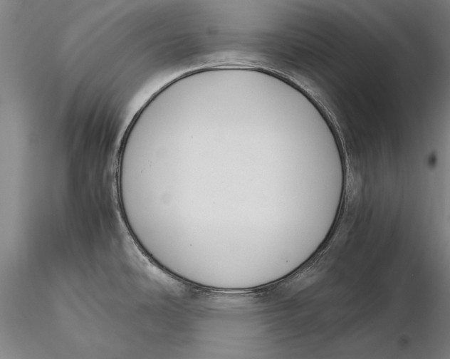 X0000116051486200912111452